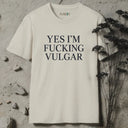 Yes, I'm fucking vulgar. T-Shirt