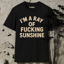 I'm a ray of fucking sunshine  T-Shirt