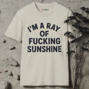 I'm a ray of fucking sunshine  T-Shirt