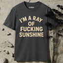 I'm a ray of fucking sunshine  T-Shirt